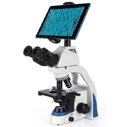 Medical Microscope